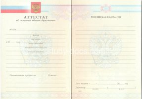 Аттестат за 9 класс 2007-2010 в Пушкино